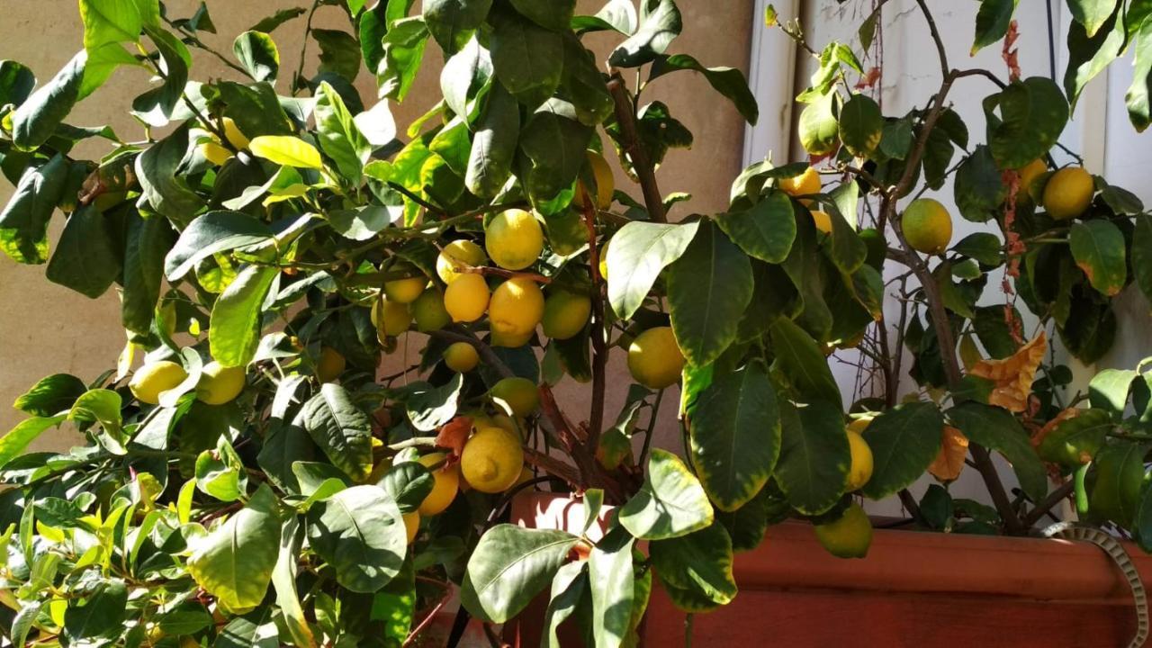 La Casa Dei Fiori Lägenhet Florens Exteriör bild